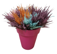 Ветка Хвоща полевого 65 см Арт-С-11