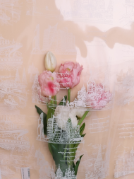 Пленка прозрачная с рисунком Россия Москва Белая 70см/8м