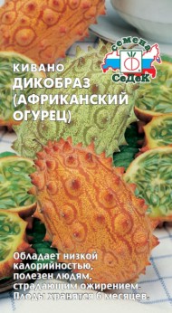 Кивано Дикобраз ЦВ/П (СЕДЕК) 3шт однолетник до 5м