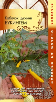 Кабачок Букингем F1 ЦВ/П (ПЛАЗМА) 3шт раннеспелый комнатный