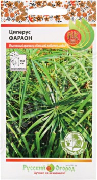 Цветы Циперус Фараон ЦВ/П (НК) 0,01гр комнатное до 1,8м