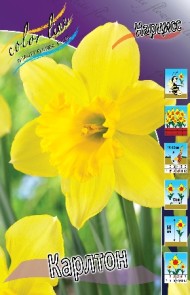 Нарциссы Карлтон (1уп/8шт)