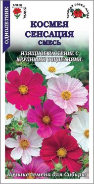 Цветы Космея Сенсация смесь ЦВ/П (СОТКА) 0,5гр однолетник до 90см