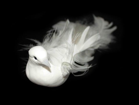 Прищепка Голубь 19*6*7см SL5Y232C Арт-00053438