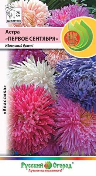 Цветы Астра Первое сентября Смесь ЦВ/П (РУССКИЙ ОГОРОД) 0,2гр однолетник 75см