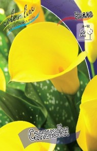 Калла Саншайн 12/14 (1уп/2шт) Калла Саншайн 12/14 (1уп/2шт)