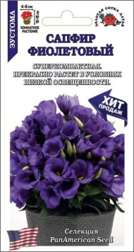 Цветы Эустома Сапфир Фиолетовый ЦВ/П (СОТКА) 5шт комнатное 10-15см