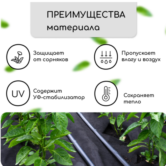 Упаковка Агротекс Чёрный Перфорированый М-80 Чёрный шир 1,6м/длина 5м (1кор/1шт)