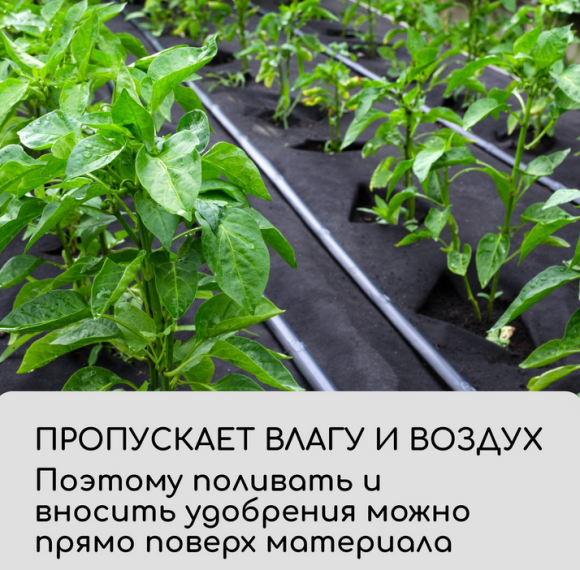 Упаковка Агротекс Чёрный Перфорированый М-80 Чёрный шир 1,6м/длина 5м Упаковка Агротекс Чёрный Перфорированый М-80 Чёрный шир 1,6м/длина 5м