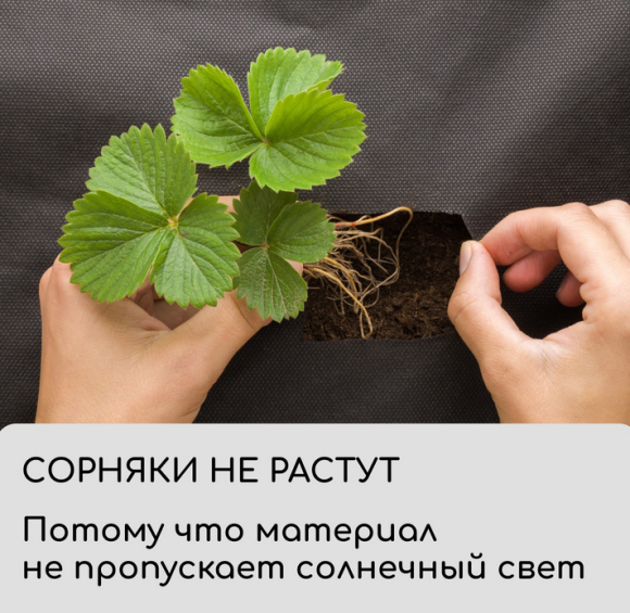 Упаковка Агротекс Чёрный Перфорированый М-80 Чёрный шир 1,6м/длина 5м Упаковка Агротекс Чёрный Перфорированый М-80 Чёрный шир 1,6м/длина 5м