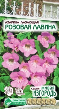 Цветы Азарина Розовая лавина ЦВ/П (ЕС) 5шт однолетник до 3м
