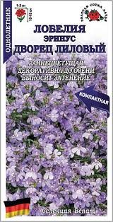 Цветы Лобелия Эринус Дворец Лиловый ЦВ/П (СОТКА) 30шт однолетник 10-15см