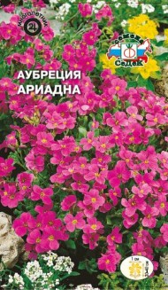 Цветы Аубреция Ариадна ЦВ/П (СЕДЕК) 0,1гр многолетник 30-40см
