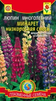 Цветы Люпин Минарет смесь ЦВ/П (ГАВРИШ) 0,5гр многолетник до 50см