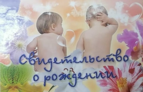Обложка на Свидетельство о рождении 2 малыша А 5