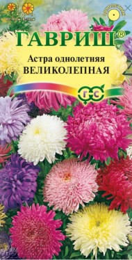 Цветы Астра Великолепная Смесь ЦВ/П (ГАВРИШ) 0,3гр однолетник 60-65см Цветы Астра Великолепная Смесь ЦВ/П (ГАВРИШ) 0,3гр однолетник 60-65см