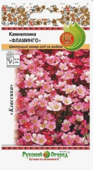 Цветы Камнеломка Фламинго Смесь ЦВ/П (НК) 200шт многолетник до 15см