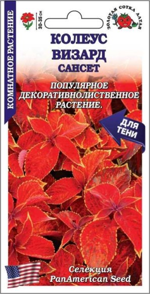 Цветы Колеус Визард Сансет ЦВ/П (СОТКА) 10шт комнатное 30-35см