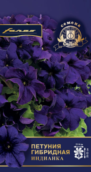 Цветы Петуния Индианка F1 ЦВ/П (СЕДЕК) 5шт однолетник 20-25см