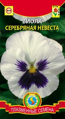 Цветы Виола Серебряная невеста ЦВ/П (ПЛАЗМА) 0,1гр белая с синим двулетник 15-30см