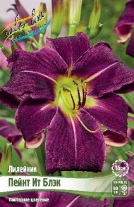 Лилейник Пейнт Ит Блэк (1уп/1шт) Лилейник Пейнт Ит Блэк (1уп/1шт)