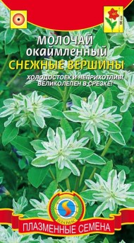 Цветы Молочай Снежные вершины окаймленный ЦВ/П (ПЛАЗМА) 0,3гр однолетник до 90см