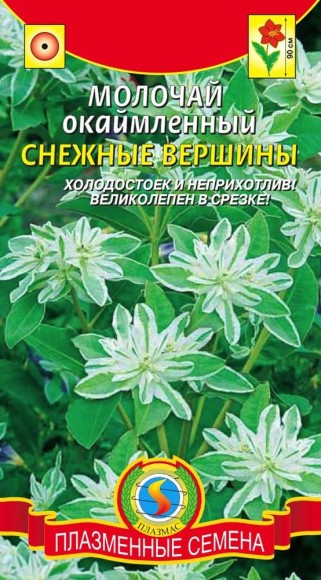 Цветы Молочай окаймленный Снежные вершины ЦВ/П (ПЛАЗМА) однолетник до 90см