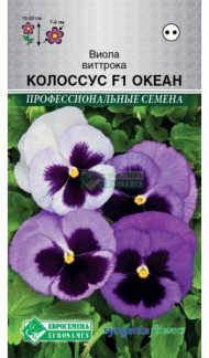 Цветы Виола Колоссус океан виттрока F1 ЦВ/П (ЕС) 5шт двулетник 15-20см