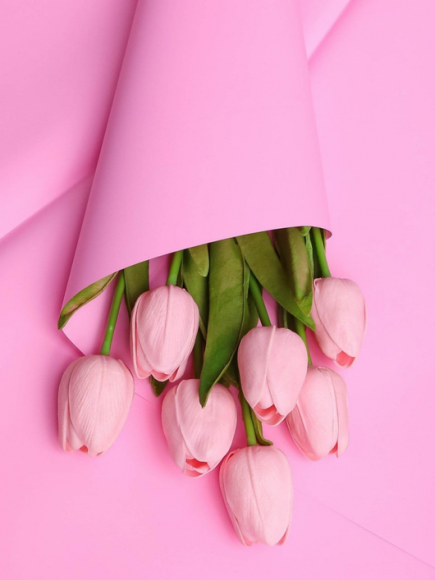 Пленка Листами Матовая однотонная Розовый жемчуг 58/58см (1уп/10шт) Цена за лист Пленка Листами Матовая однотонная Розовый жемчуг 58/58см (1уп/10шт) Цена за лист