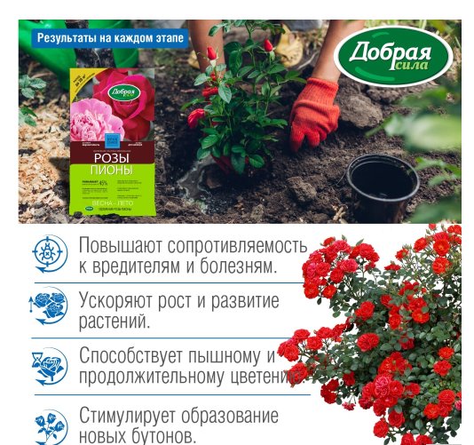 Удобрение Розы Пионы 0,9кг Добрая сила (1уп/12шт) Удобрение Розы Пионы 0,9кг Добрая сила (1уп/12шт)