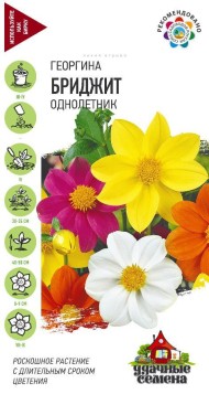 Цветы Георгина Бриджит Смесь ЦВ/П (ГАВРИШ) серия УДС 0,3гр однолетник 40-50см