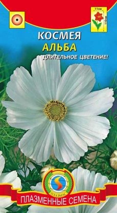 Цветы Космея Альба ЦВ/П (ПЛАЗМА) 0,3гр однолетник до 1,1м