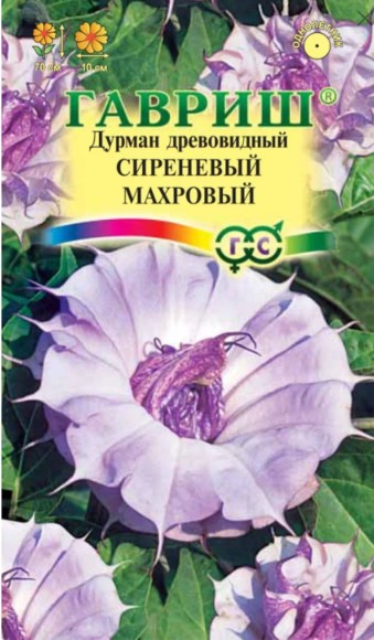 Цветы Датура (Дурман) Сиреневый Махрововый ЦВ/П (ГАВРИШ) 3шт однолетник до 70см