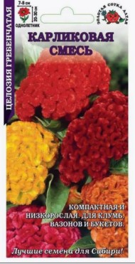 Цветы Целозия гребенчатая Карликовая Смесь ЦВ/П (СОТКА) 0,1гр однолетник сухоцвет 20-30см