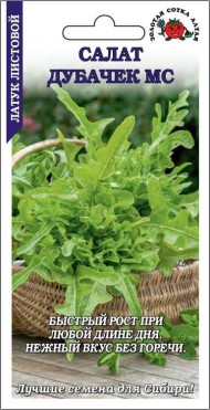 Салат Дубачек листовой ЦВ/П (СОТКА) 0,5гр среднеспелый листовой Салат Дубачек листовой ЦВ/П (СОТКА) 0,5гр среднеспелый листовой