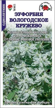 Цветы Эуфорбия Вологотское кружево ЦВ/П (СОТКА) 0,2гр однолетник 50-60см