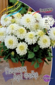 Георгины Геллери Арт Фейр (1уп/1шт)