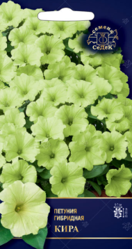 Цветы Петуния Кира F1 ЦВ/П (СЕДЕК) 5шт однолетник 25-30см