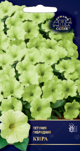 Цветы Петуния Кира F1 ЦВ/П (СЕДЕК) 5шт однолетник 25-30см