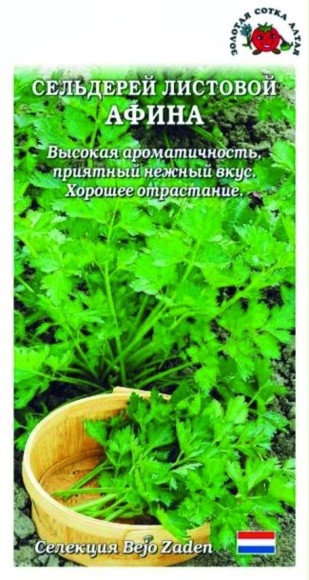 Сельдерей листовой Афина ЦВ/П (СОТКА) 0,1гр среднеспелый