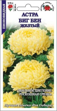 Цветы Астра Биг Бен Жёлтая ЦВ/П (СОТКА) 0,2гр однолетник до 65см