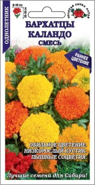 Цветы Бархатцы Каландо Смесь ЦВ/П (СОТКА) 0,2гр однолетник 30-40см