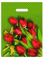 Сумочка пакет п/э 300*400мм Мимоза Арт-44166 Сумочка пакет п/э 300*400мм Мимоза Арт-44166