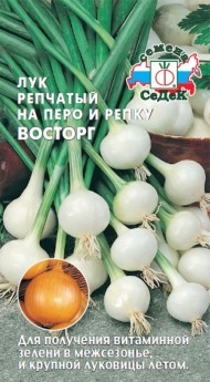 Лук репчатый Восторг ЦВ/П (СЕДЕК) 1гр на перо и репку