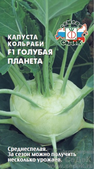 Капуста кольраби Голубая Планета ЦВ/П (СЕДЕК) 1гр среднеспелый Капуста кольраби Голубая Планета ЦВ/П (СЕДЕК) 1гр среднеспелый