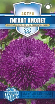 Цветы Астра Гигант Виолет ЦВ/П (ГАВРИШ) 0,05гр огднолетник 65-75см Цветы Астра Гигант Виолет ЦВ/П (ГАВРИШ) 0,05гр огднолетник 65-75см