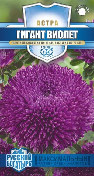 Цветы Астра Гигант Виолет ЦВ/П (ГАВРИШ) 0,05гр огднолетник 65-75см