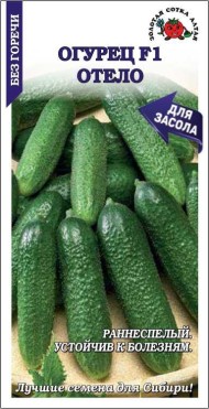 Огурец Отелло F1 ЦВ/П (СОТКА) 0,3гр раннеспелый Огурец Отелло F1 ЦВ/П (СОТКА) 0,3гр раннеспелый