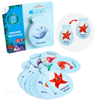 Карточки на кольце 20шт обучающие 3+ Арт-4773880/81/83/84