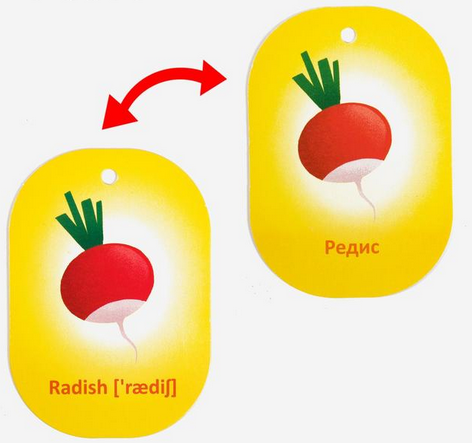 Карточки на кольце 20шт обучающие 3+ Арт-4773880/81/83/84
